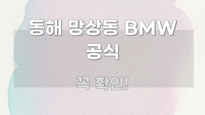 동해 망상동 BMW 공식 직관적으로 이해되는 심플 타이포그래피 표지 - 참고용 이미지
