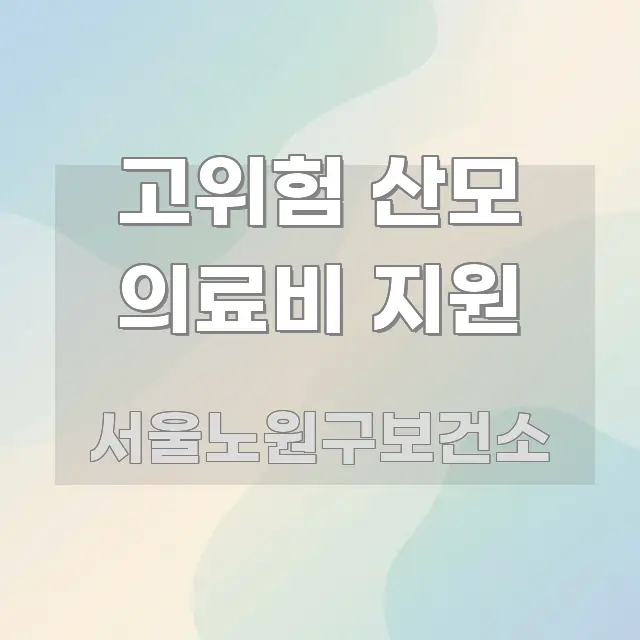 고위험 산모 의료비 지원 심플하고 명확하게 정리한 텍스트형 카드뉴스 표지 이미지