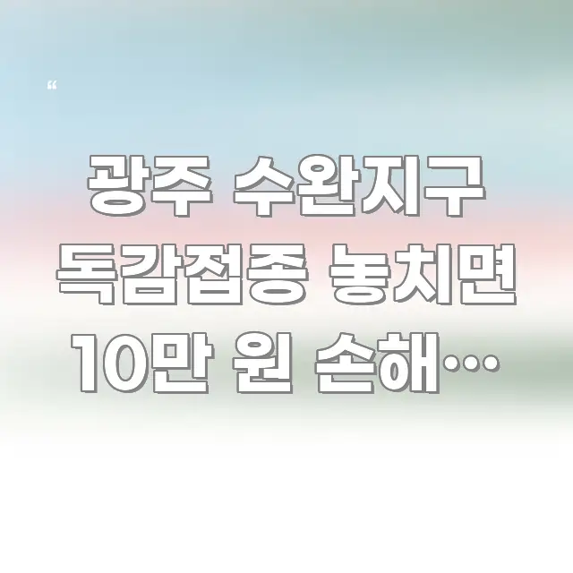 광주 수완지구 독감접종 놓치면 10만 원 손해, 3명 요점만 뽑아낸 핵심 키워드 시각화 이미지