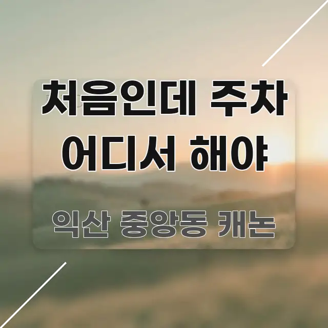 처음인데 주차 어디서 해야 알기 쉽게 정리한 포스트 대표 비주얼 이미지 - 본문 내용과 연관된 이미지