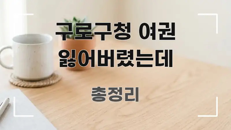 구로구청 여권 잃어버렸는데 핵심만 담은 텍스트 중심 디자인 표지 - 참고용 이미지