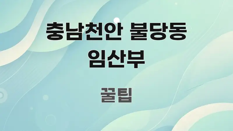 충남천안 불당동 임산부 실용적으로 정리한 블로그 대표 이미지 - 독자 이해를 위한 이미지