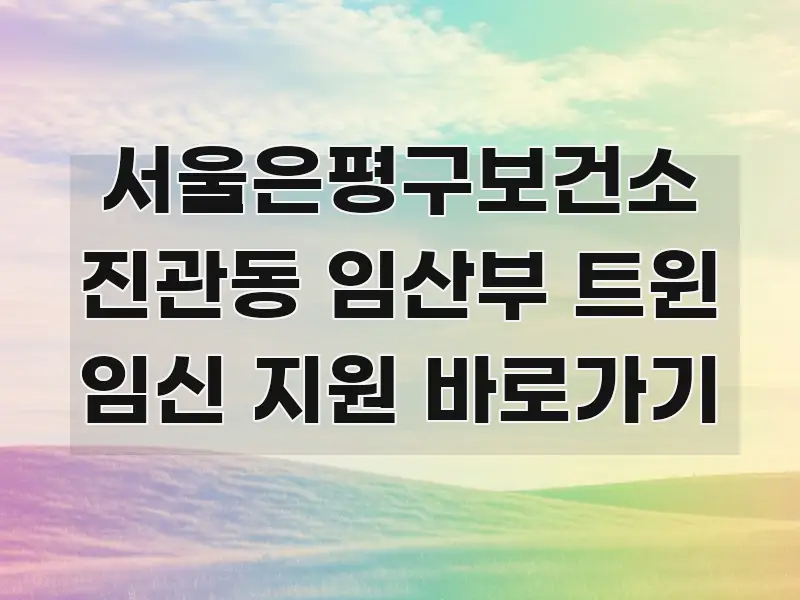 서울은평구보건소 진관동 임산부 트윈 임신 지원 바로가기 시선을 사로잡는 블로그 헤더 이미지 - 본문 내용과 연관된 이미지