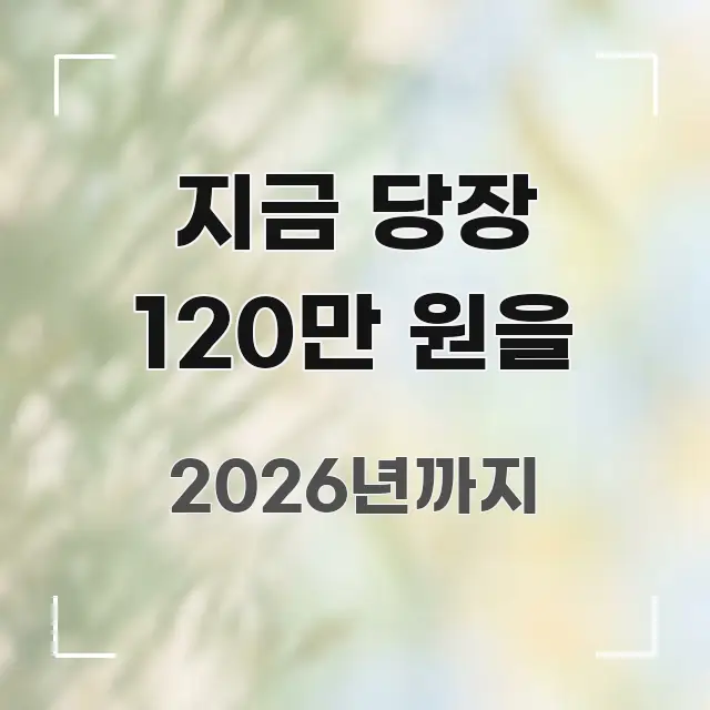 지금 당장 120만 원을 신뢰할 수 있는 정보를 담은 텍스트 포스터 이미지
