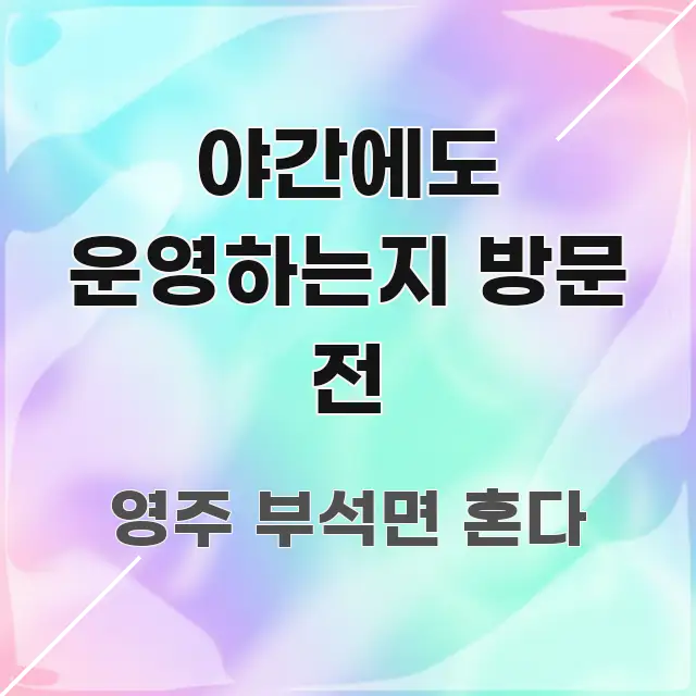 야간에도 운영하는지 방문 전 핵심 요약 야간에도 운영하는지 방문 전 전문적으로 분석한 깔끔한 인포그래픽 표지
