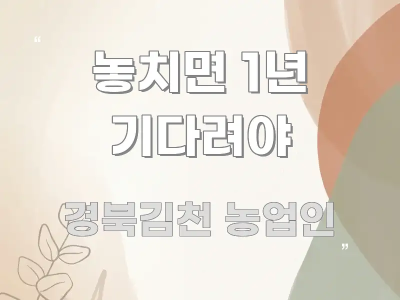 놓치면 1년 기다려야 실용적으로 정리한 읽기 좋은 정보 카드 - 본문 내용과 연관된 이미지