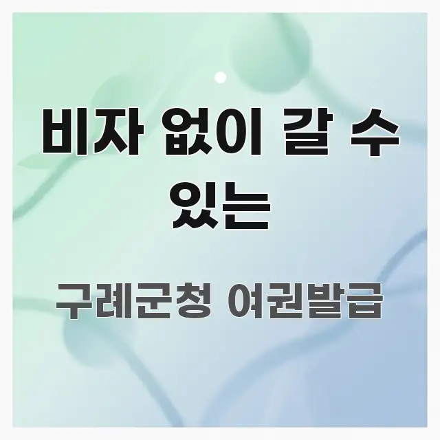 비자 없이 갈 수 있는 바로 활용 가능한 텍스트 기반 블로그 이미지 - 가독성을 높이는 이미지