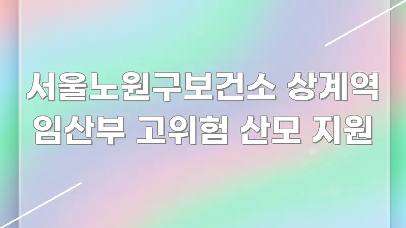 서울노원구보건소 상계역 임산부 고위험 산모 지원 쉽게 따라할 수 있는 정보 카드 디자인 이미지