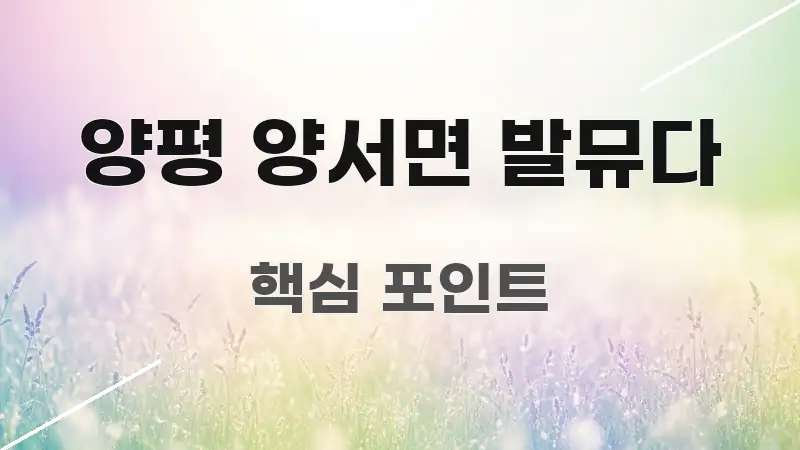 양평 양서면 발뮤다 전문적으로 분석한 블로그 섹션 구분 이미지 - 설명을 돕는 이미지