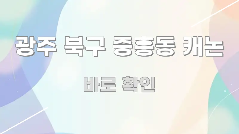 광주 북구 중흥동 캐논 빠르게 이해할 수 있는 핵심 정보 비주얼 - 본문 내용과 연관된 이미지