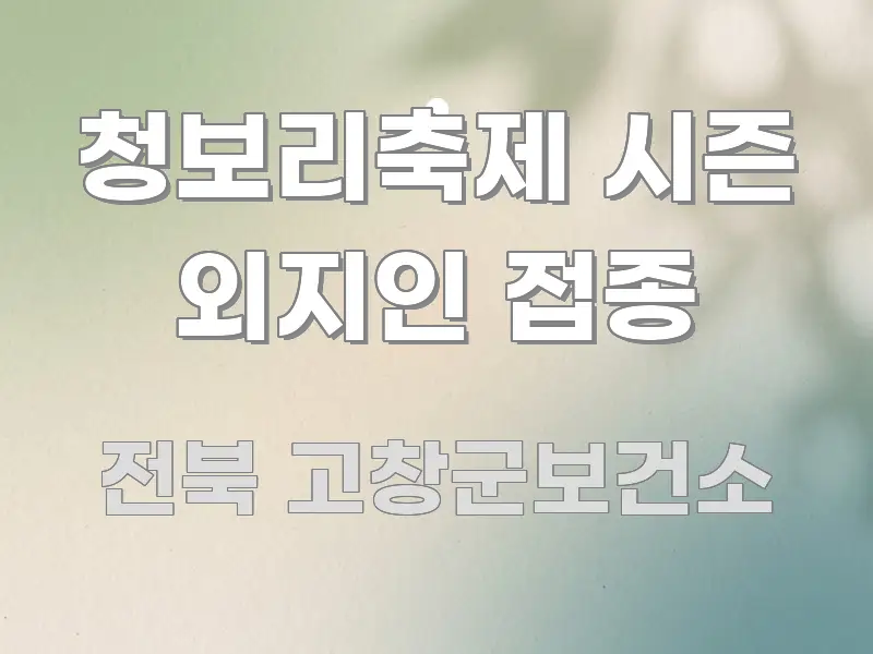 청보리축제 시즌 외지인 접종 심플하고 명확하게 정리한 가독성 높은 정보 이미지