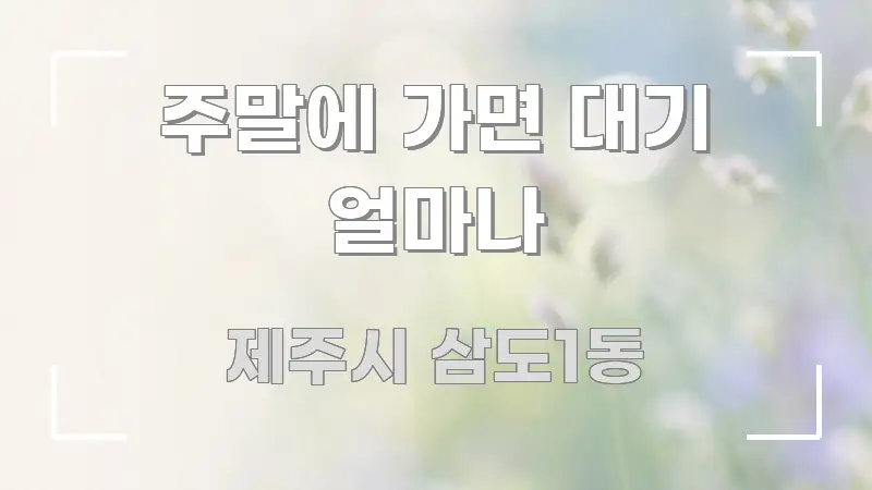 주말에 가면 대기 얼마나 꼭 필요한 정보만 담은 포스트 대표 비주얼 이미지 - 글 흐름을 돕는 시각 자료
