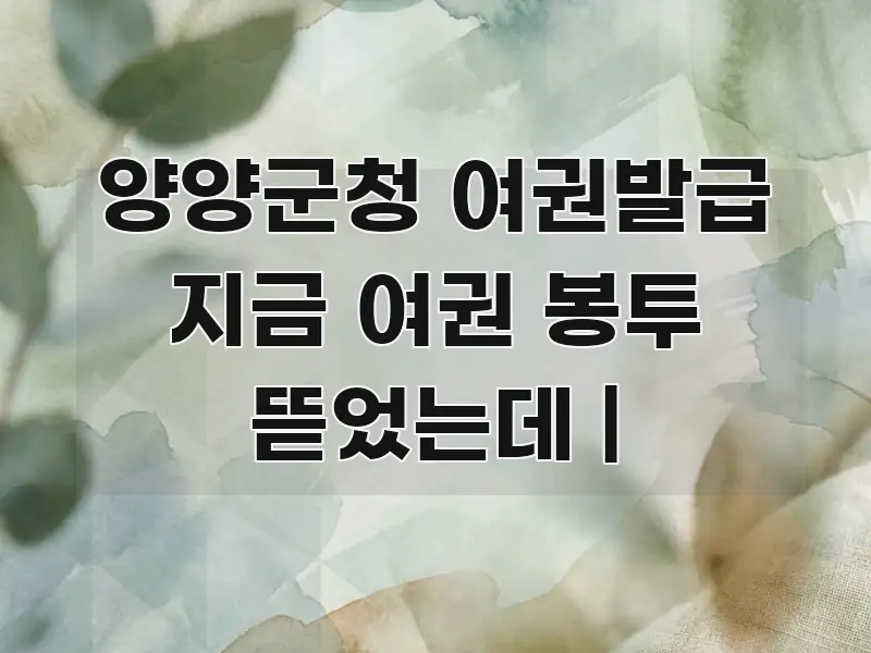 양양군청 여권발급 지금 여권 봉투 뜯었는데 | 독자를 위해 선별한 정보 전달형 표지 이미지 - 내용 요약을 위한 이미지
