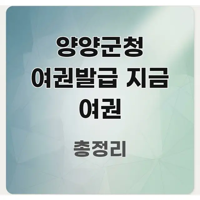 양양군청 여권발급 지금 여권 심플하고 명확하게 정리한 깔끔한 인포그래픽 표지 - 본문 내용과 연관된 이미지