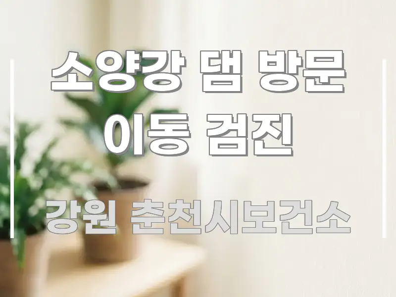 소양강 댐 방문 이동 검진 쉽게 읽히는 스마트 정보 카드 - 글 흐름을 돕는 시각 자료