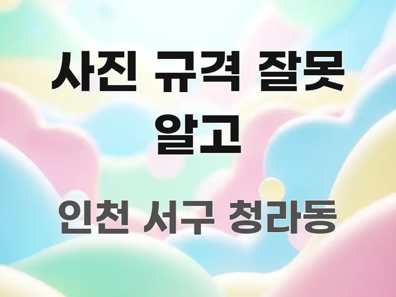사진 규격 잘못 알고 시선을 사로잡는 정보 요약 인포그래픽 이미지