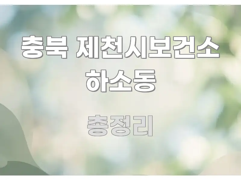 충북 제천시보건소 하소동 주요 흐름을 설명한 블로그용 카드뉴스 썸네일 - 가독성을 높이는 이미지