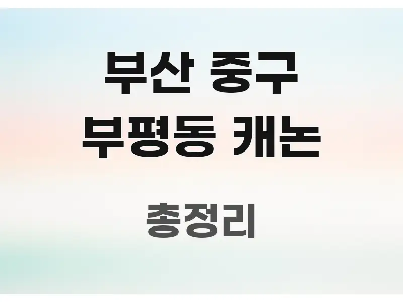 부산 중구 부평동 캐논 깔끔하게 정리된 핵심 정리 썸네일 이미지 - 내용 요약을 위한 이미지