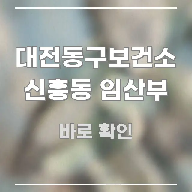 대전동구보건소 신흥동 임산부 실생활에 도움되는 스마트 정보 카드 - 내용 요약을 위한 이미지