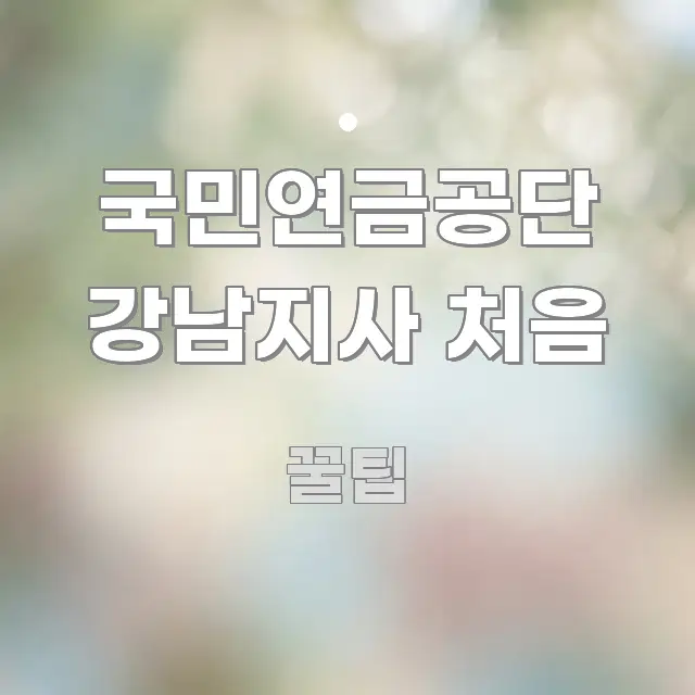 국민연금공단 강남지사 처음 핵심 내용을 정리한 정보 정리 카드 이미지 - 내용 요약을 위한 이미지
