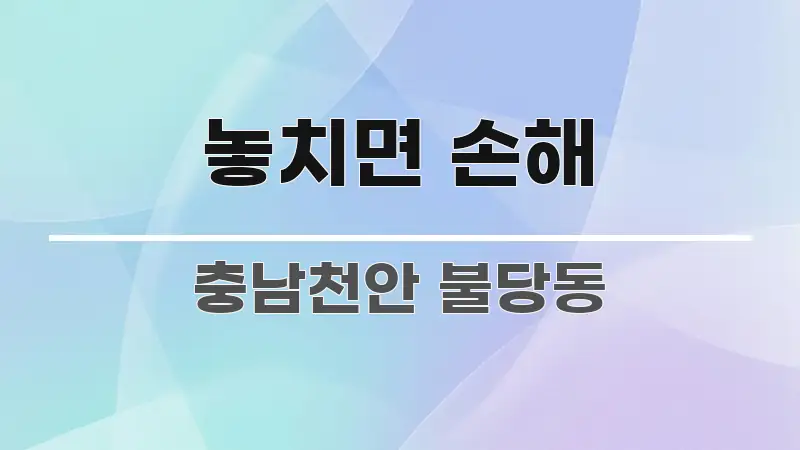 놓치면 손해 꼭 필요한 정보만 담은 텍스트 기반 블로그 이미지 - 글 흐름을 돕는 시각 자료