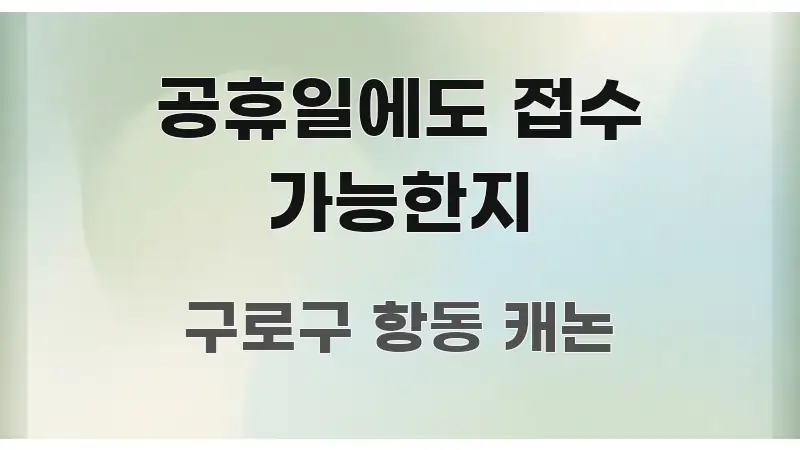 공휴일에도 접수 가능한지 심플하고 명확하게 정리한 스마트 정보 카드 - 글 흐름을 돕는 시각 자료