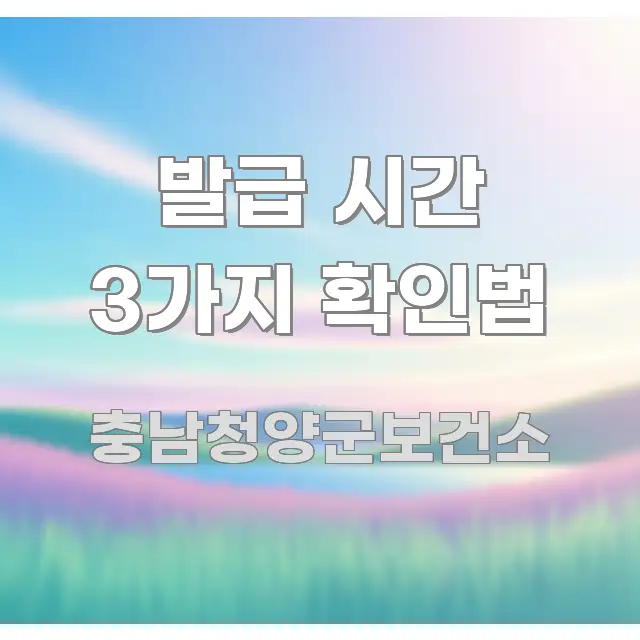 발급 시간 3가지 확인법 독자를 위해 선별한 콘텐츠 요약 표지 이미지 - 독자 이해를 위한 이미지