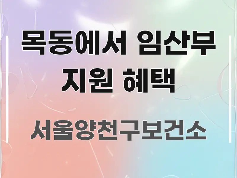 목동에서 임산부 지원 혜택 핵심 개념을 담은 스마트 정보 카드