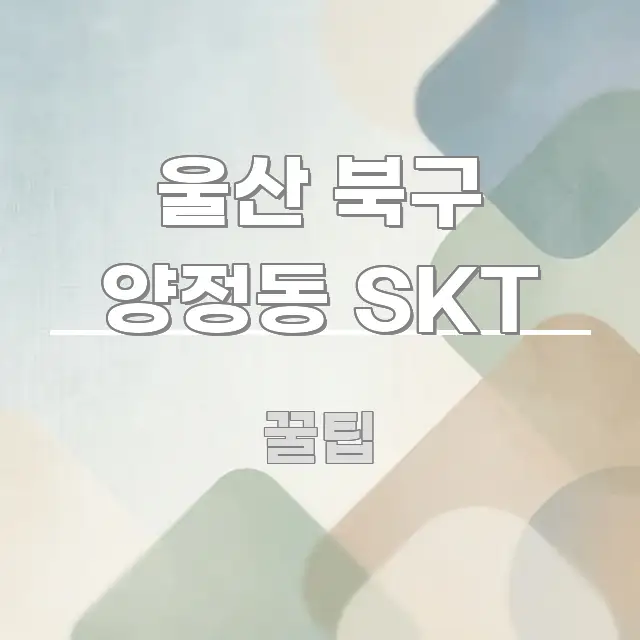 울산 북구 양정동 SKT 깔끔하게 정리된 블로그 헤더 이미지 - 본문 내용과 연관된 이미지