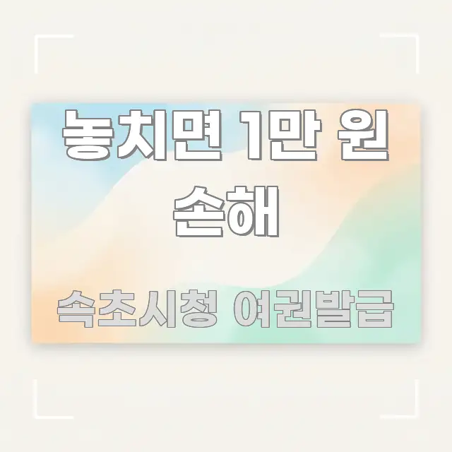 놓치면 1만 원 손해 꼭 알아야 할 정보를 담은 블로그 섹션 구분 이미지 - 독자 이해를 위한 이미지