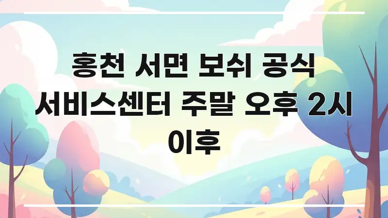 홍천 서면 보쉬 공식 서비스센터 주말 오후 2시 이후 핵심 키워드 중심의 핵심 정보 비주얼 - 본문 내용과 연관된 이미지