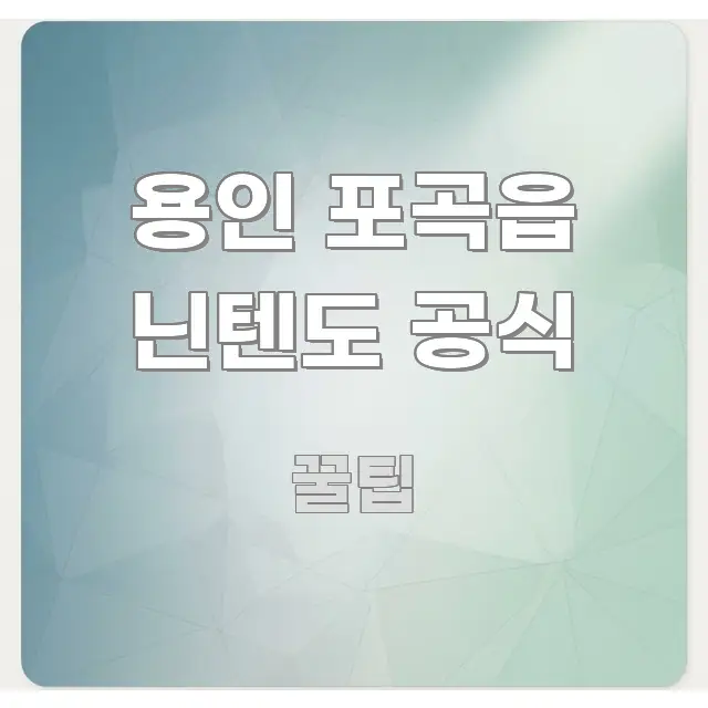 용인 포곡읍 닌텐도 공식 정보 이미지 용인 포곡읍 닌텐도 공식 꼭 필요한 정보만 담은 정보 요약 포스터 - 독자 이해를 위한 이미지
