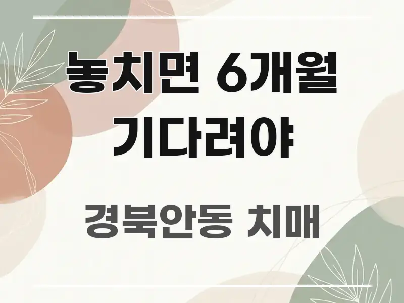 놓치면 6개월 기다려야 바로 활용 가능한 정보 카드 디자인 이미지 - 본문 내용과 연관된 이미지