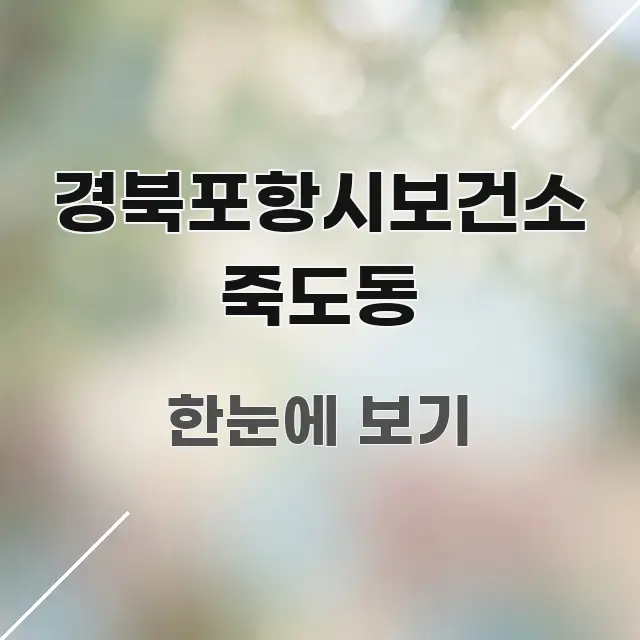 경북포항시보건소 죽도동 핵심 요점 중심의 깔끔한 인포그래픽 표지 - 참고용 이미지