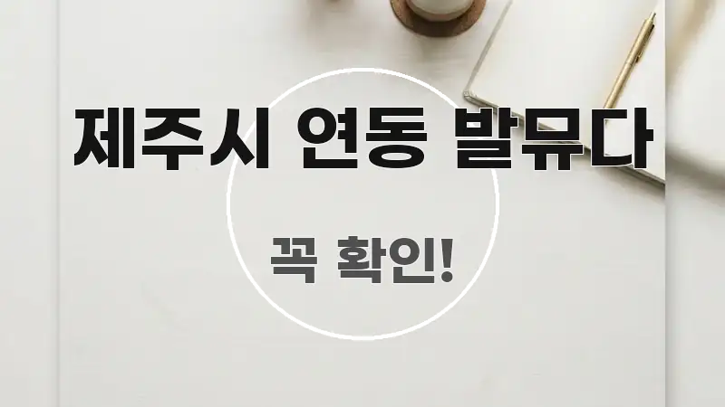 제주시 연동 발뮤다 빠르게 이해할 수 있는 정보 요약 포스터 - 본문 내용과 연관된 이미지