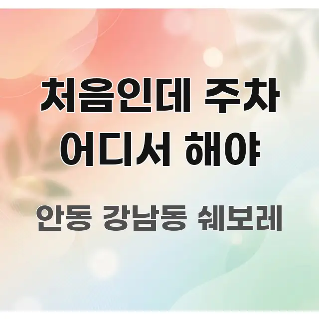 처음인데 주차 어디서 해야 중요 내용만 뽑은 블로그 섹션 구분 이미지 - 본문 내용과 연관된 이미지