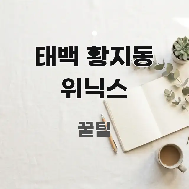 태백 황지동 위닉스 실생활에 도움되는 핵심 정리 썸네일 이미지 - 가독성을 높이는 이미지