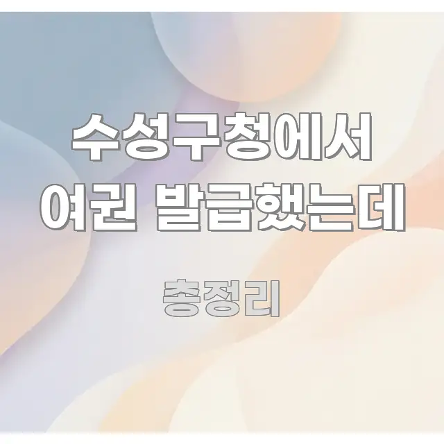 수성구청에서 여권 발급했는데 흥미롭게 구성한 정보 카드 디자인 이미지 - 활용 예시 이미지