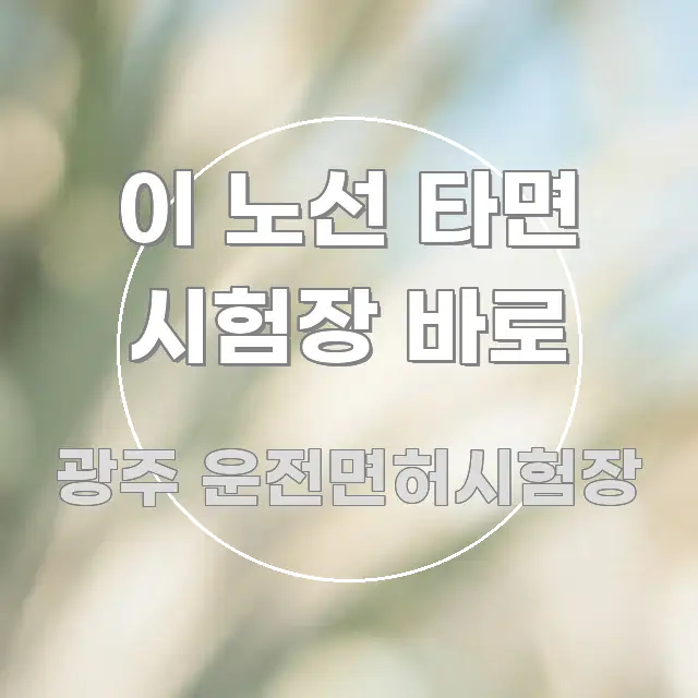 이 노선 타면 시험장 바로 깔끔하게 정리된 모던 카드뉴스 디자인
