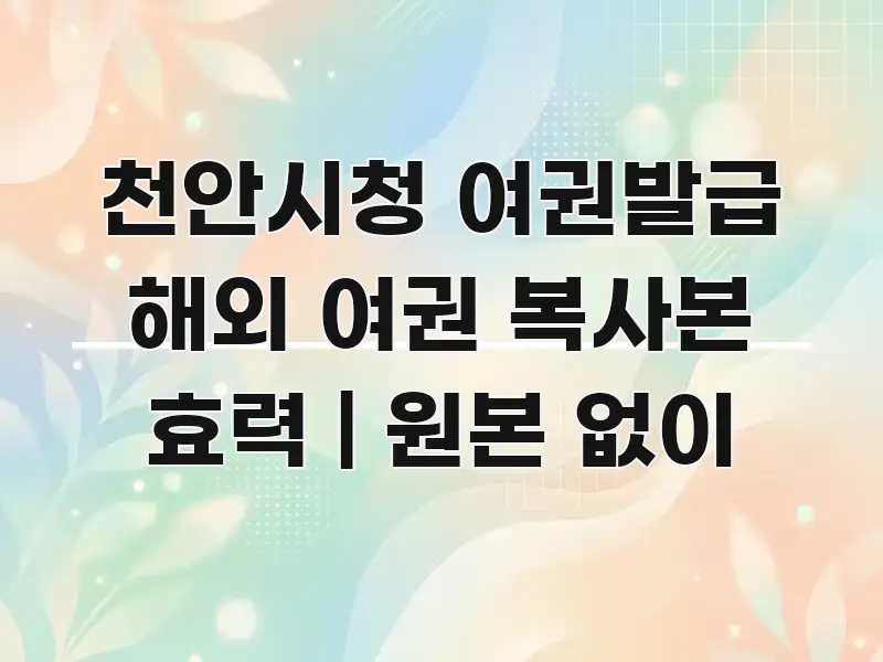 천안시청 여권발급 해외 여권 복사본 효력 | 원본 없이 핵심 요점 중심의 타이포그래피 블로그 표지
