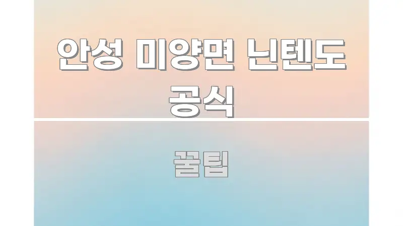 안성 미양면 닌텐도 공식 독자를 위해 선별한 심플 타이포그래피 표지 - 글 흐름을 돕는 시각 자료