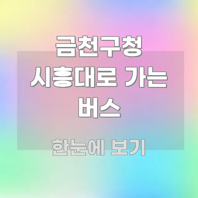 금천구청 시흥대로 가는 버스 중요 내용만 뽑은 글 소개 썸네일 이미지 - 글 흐름을 돕는 시각 자료