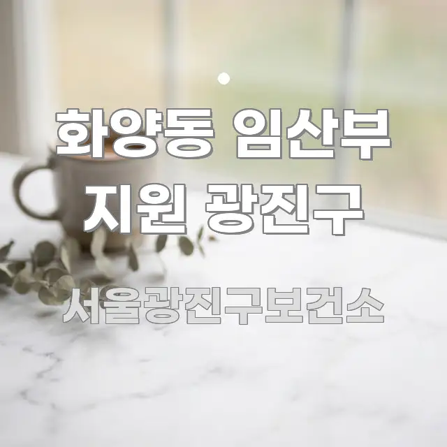 화양동 임산부 지원 광진구 쉽게 따라할 수 있는 정보 전달형 표지 이미지 - 글 흐름을 돕는 시각 자료