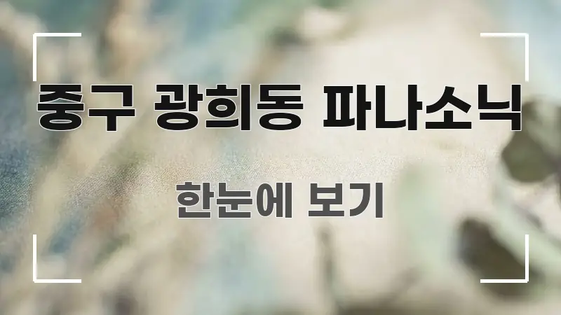 중구 광희동 파나소닉 핵심 정보를 압축한 블로그 헤더 이미지 - 활용 예시 이미지