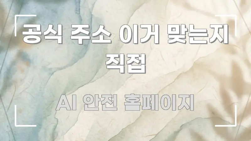 공식 주소 이거 맞는지 직접 효율적으로 구성된 심플 타이포그래피 표지 - 내용 요약을 위한 이미지