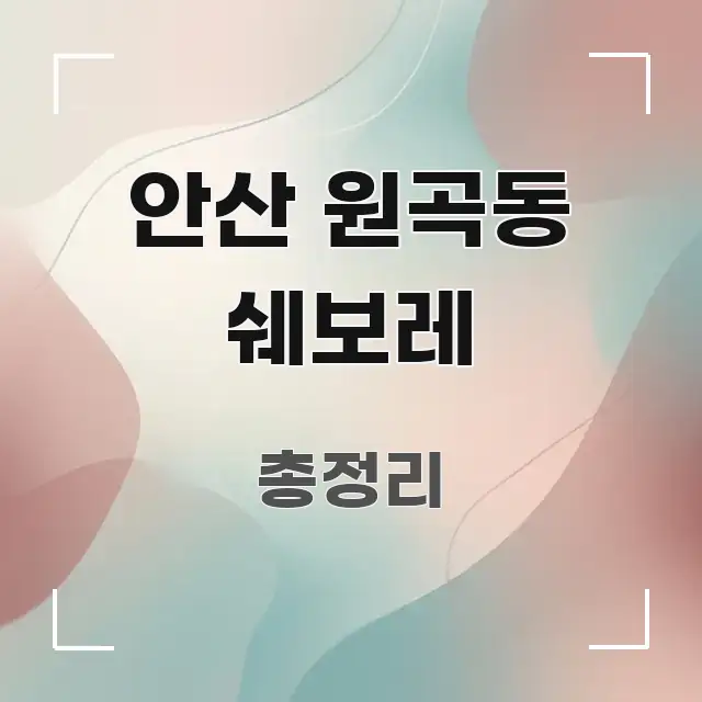 안산 원곡동 쉐보레 실용적으로 정리한 핵심 키워드 시각화 이미지 - 참고용 이미지