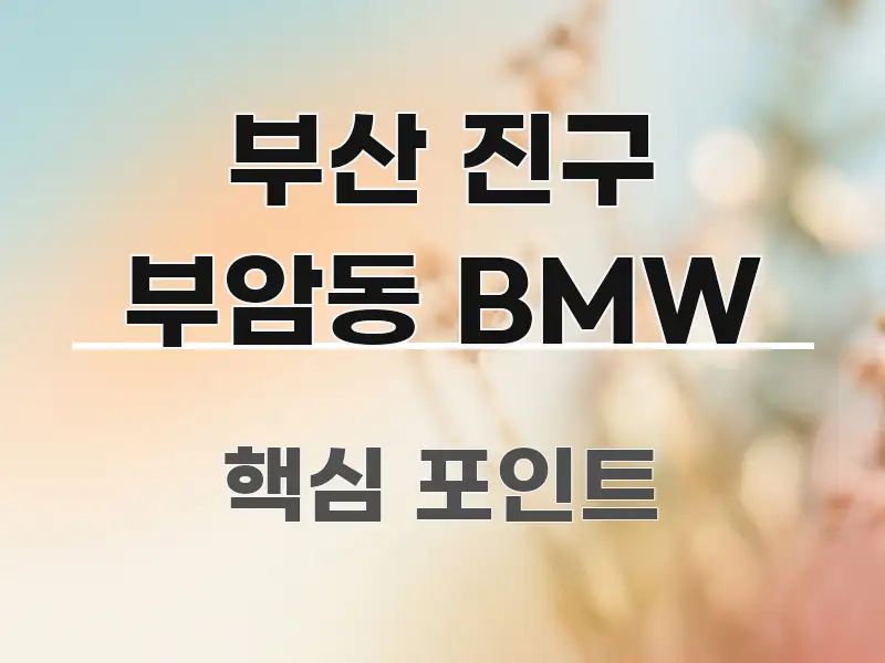 부산 진구 부암동 BMW 검증된 정보로 구성된 정보 요약 인포그래픽 이미지