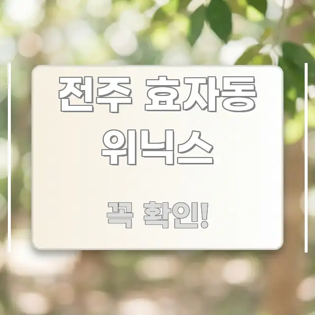 전주 효자동 위닉스 알기 쉽게 정리한 정보 요약 포스터