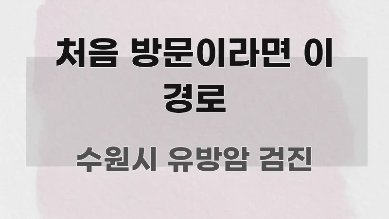 처음 방문이라면 이 경로 구조적으로 정리된 핵심 키워드 시각화 이미지 - 내용 요약을 위한 이미지