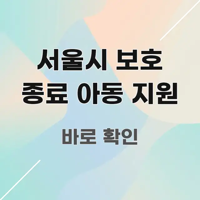 서울시 보호 종료 아동 지원 주요 흐름을 설명한 텍스트 기반 블로그 이미지 - 본문 내용과 연관된 이미지